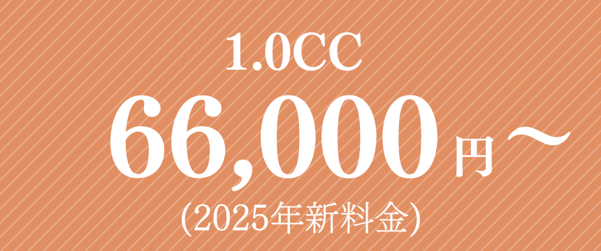 66,000円