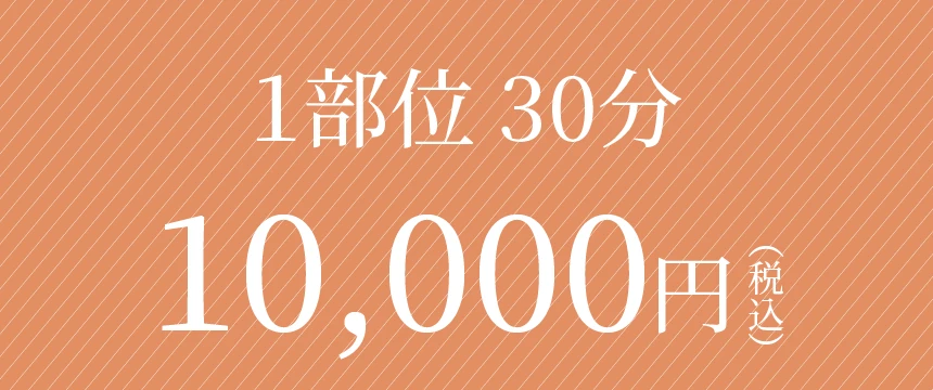 メディカルエステ1部位30分10000円