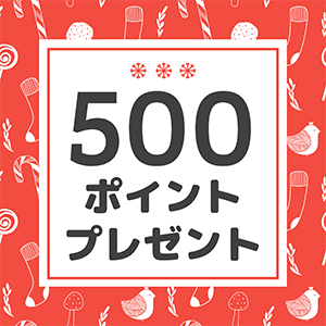 500ポイントプレゼント