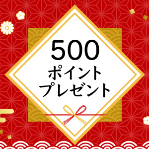 500ポイントプレゼント